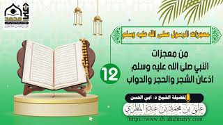 من معجزات النبي صلى الله عليه وسلم اذعان الشجر والحجر والدواب