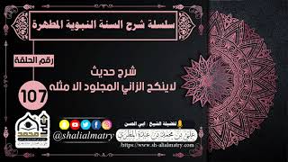 شرح حديث لاينكح الزاني المجلود الا مثله